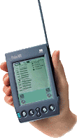 Palm VII