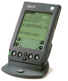 Palm VII Dock